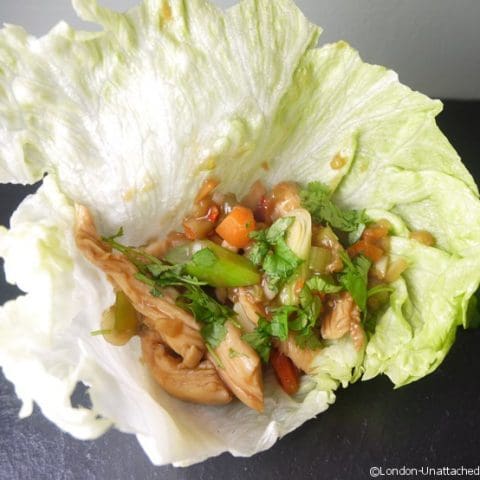 asian chicken wraps 5-2 diet