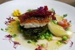 Duke of Sussex Hake