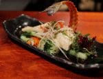 Seabass Tsunami