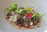 Petersham Hotel Starter