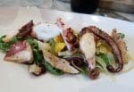 Theos Simple Italian Kensington - polpo grigliato