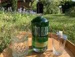 2 Birds absinthe 1