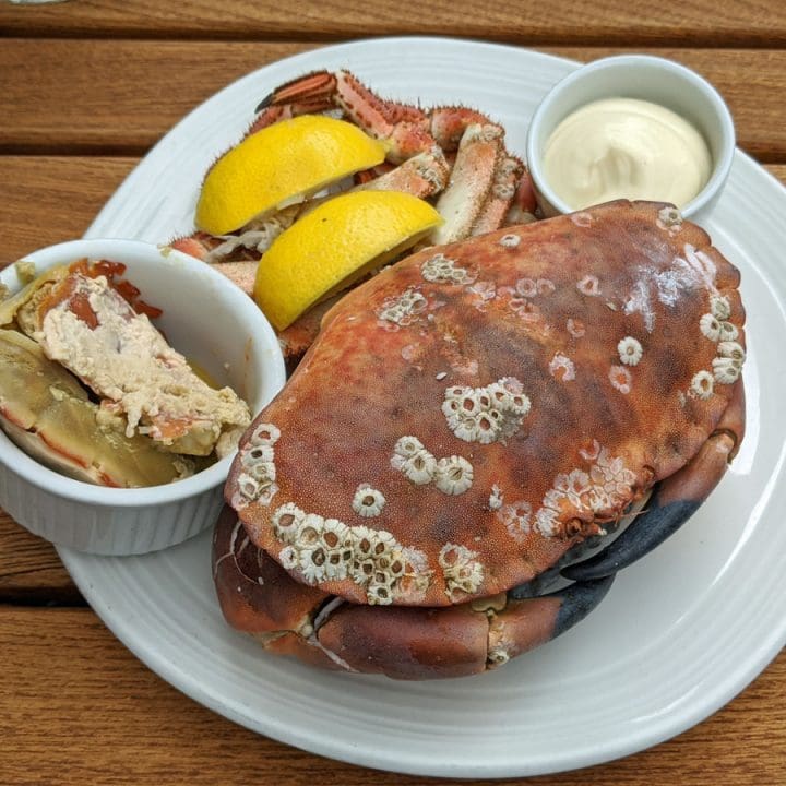 Dorset Crab at The Oystermen