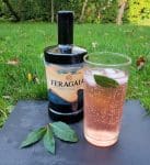 Feragaia with aromatic tonic