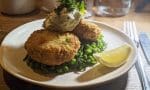 Fish cake Starter Angel Oak