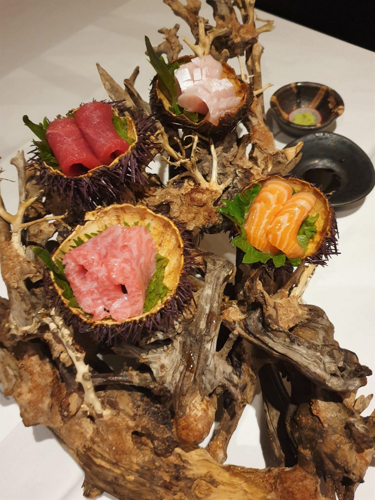 Rai sashimi