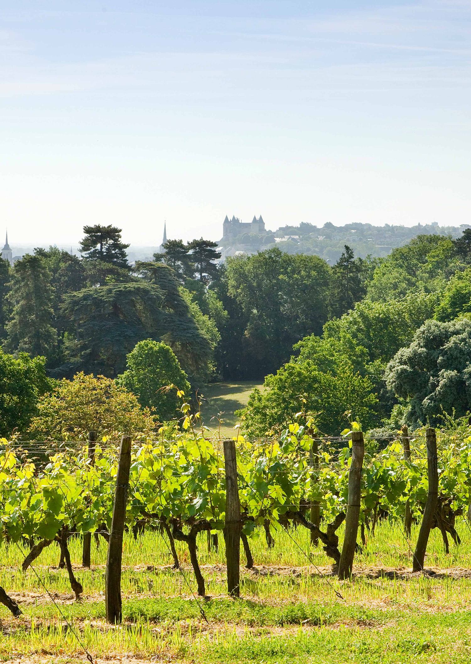 Langlois Chateau Vineyards