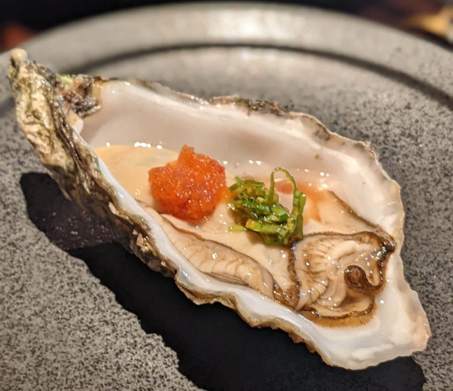 Oyster - The Aubrey