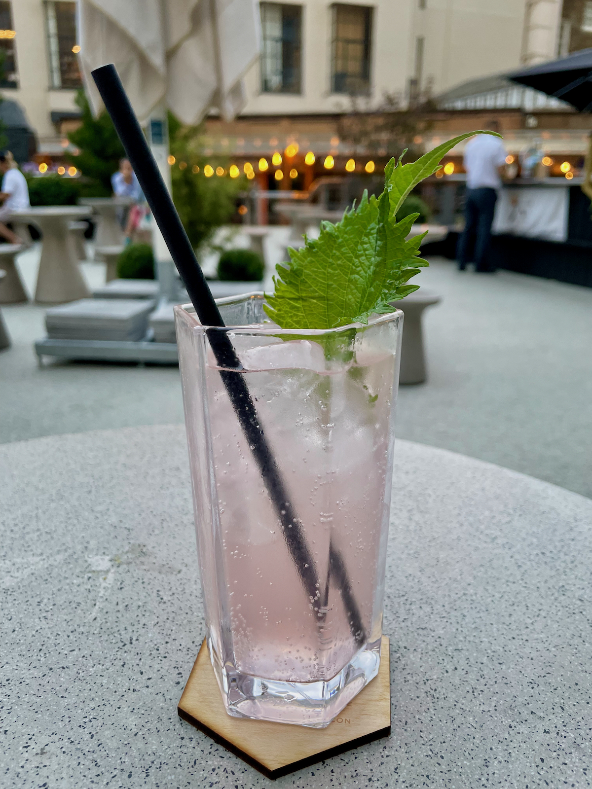 Roku gin watermelon and shiso