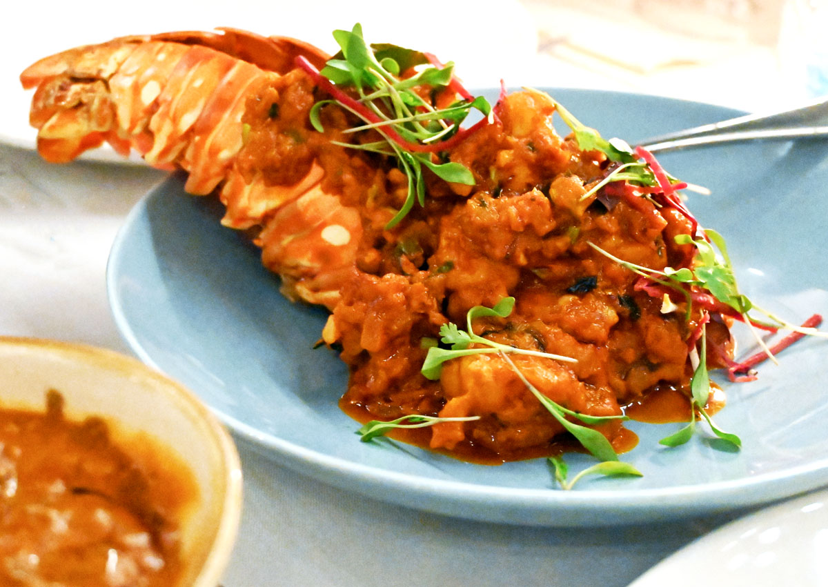 Lobster Tail - Kahani
