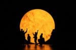 Ensemble, The Magic Flute 2022 photographed by Camilla Greenwell