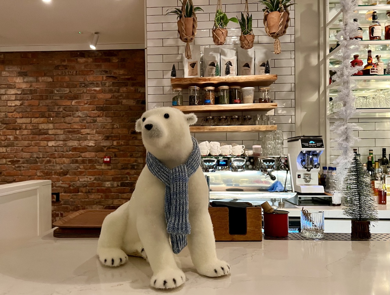 Sunday in Brooklyn Polar Bear