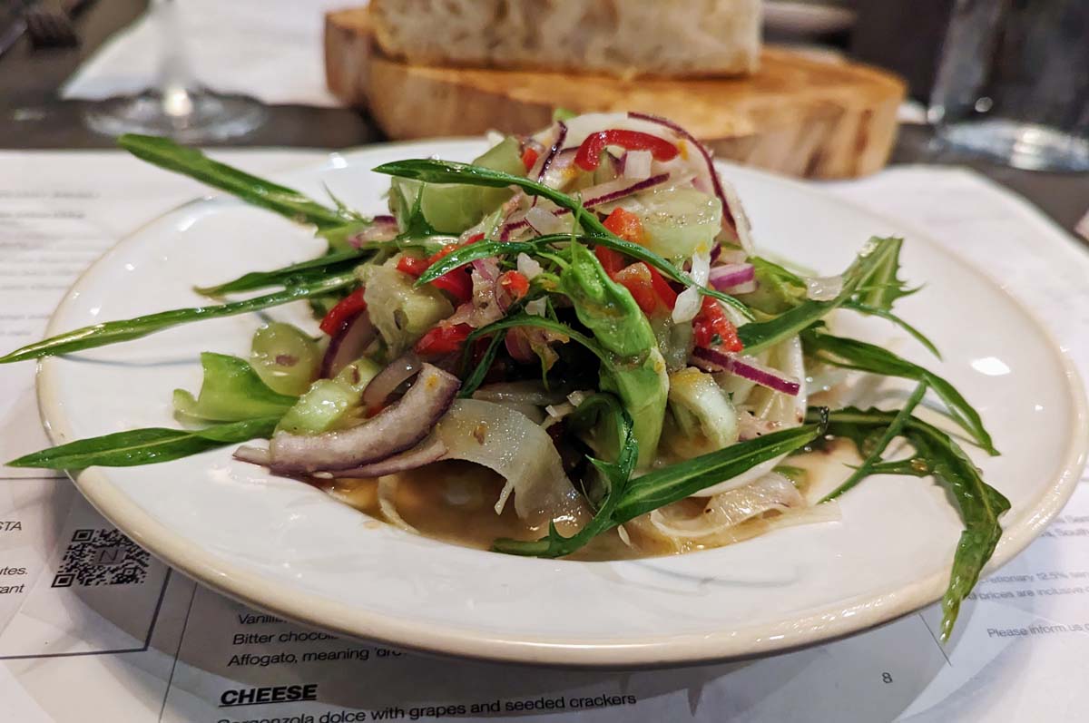 Notto Panzanella