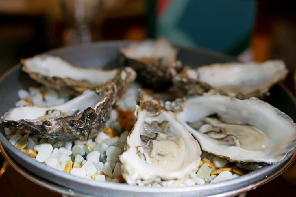 Oysters - Nessa