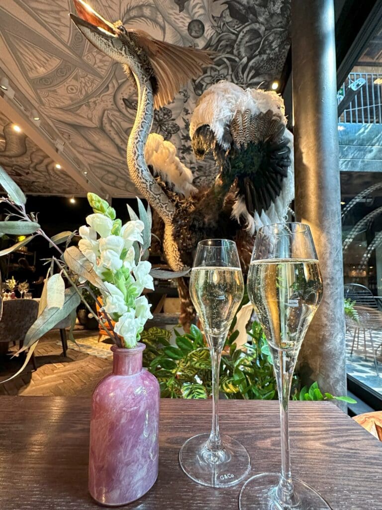 Veuve Clicquot Brut Champagne at Yopo