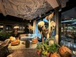 Interior of Yopo restaurant at The Mandrake