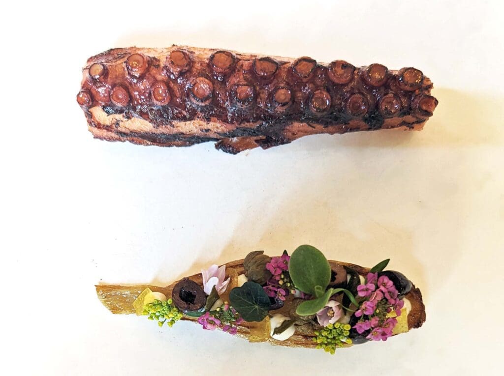 Octopus - Caractere