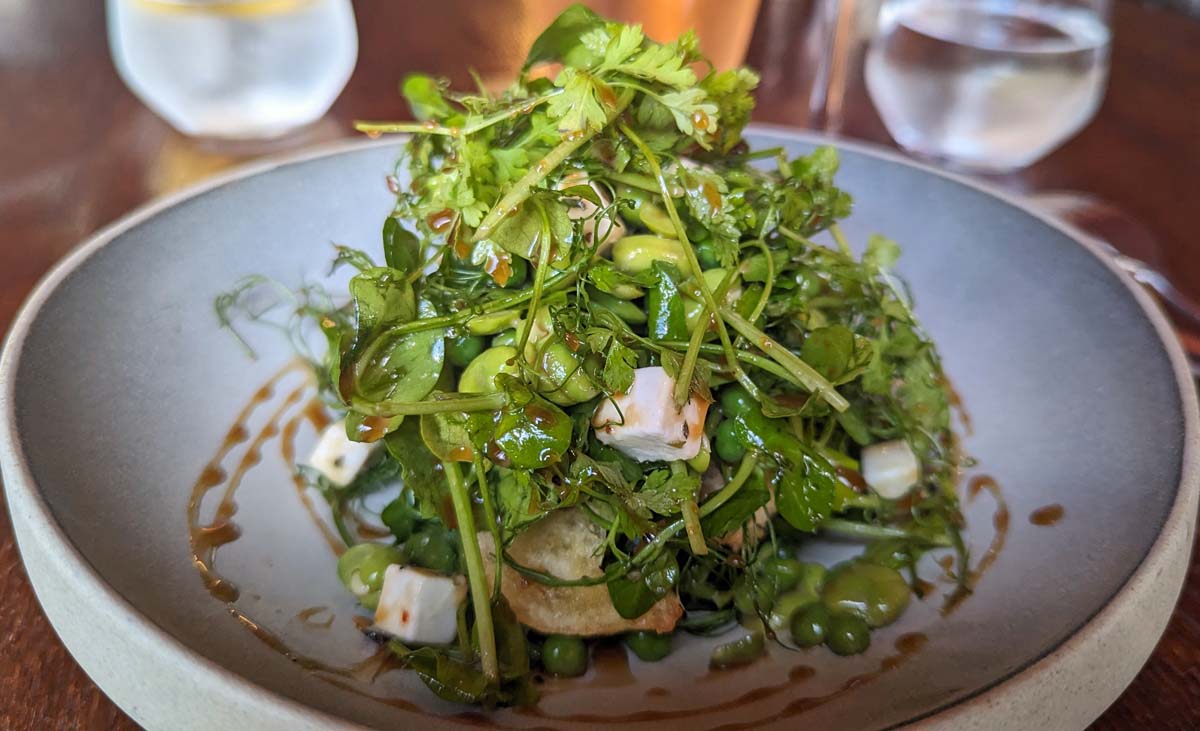Pea and broadbean starter