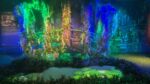 Claude Monet, the Immersive Experience - Monet garden (1)