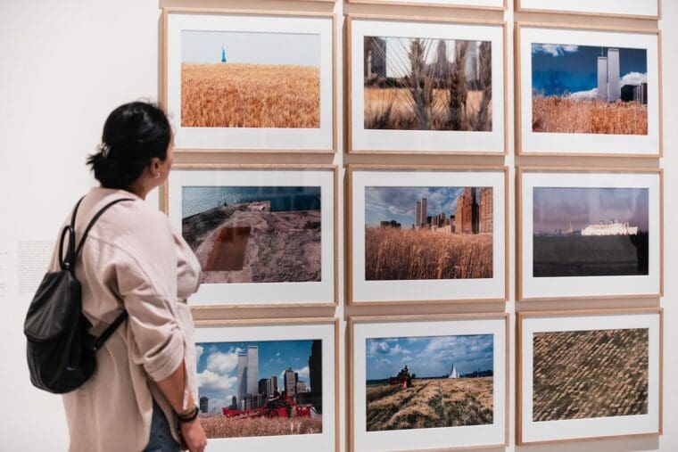woman looks at a series of documentary images from Agnes Denes's artwork Wheatfield