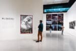Man looks at a series of framed photographs