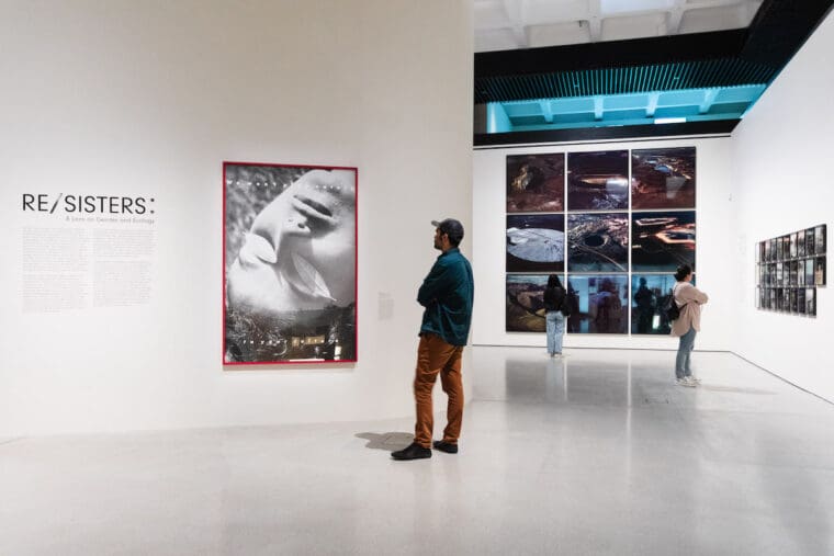 Man looks at a series of framed photographs