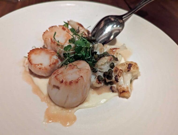 sette---scallops