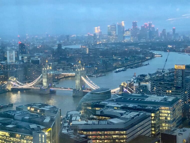 Shard Bees in Bloom night view