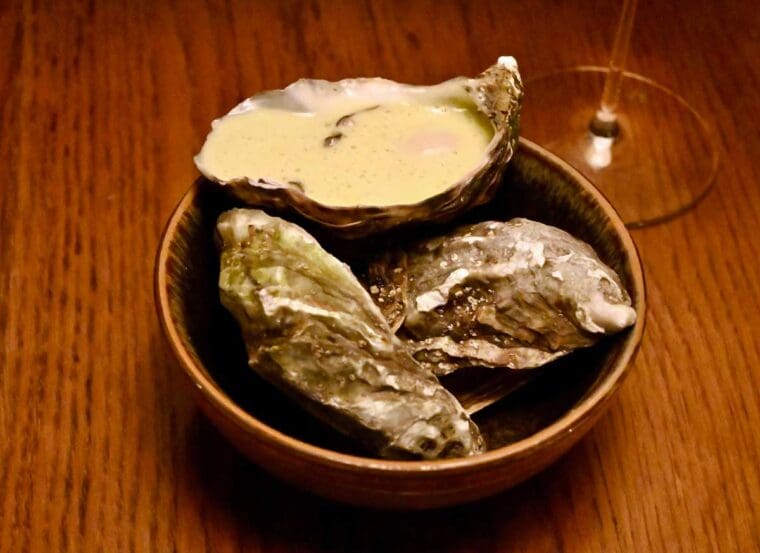 oysters