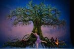 Royal Ballet - Francesca Hayward, The Winter's Tale ©2024 ROH. Ph Andrej Uspenski