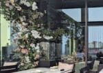 STK Whispering Angel Terrace