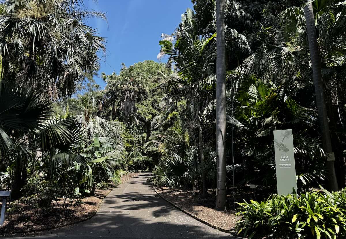 Palm Grove Botanic Gardens Sydney