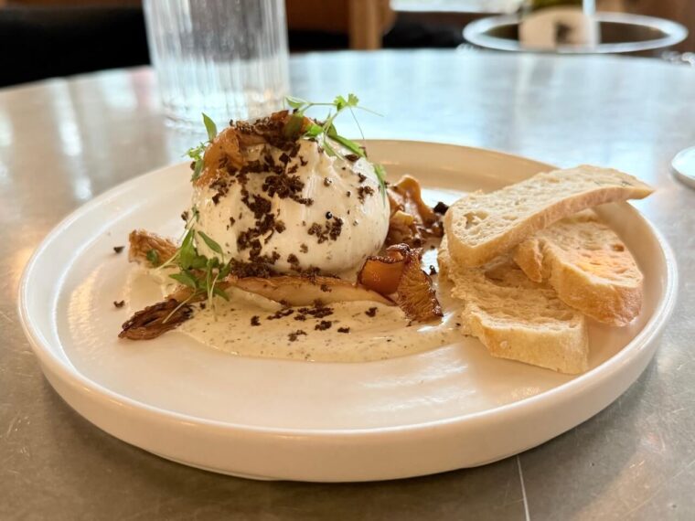 The Broadcaster Restaurant burrata