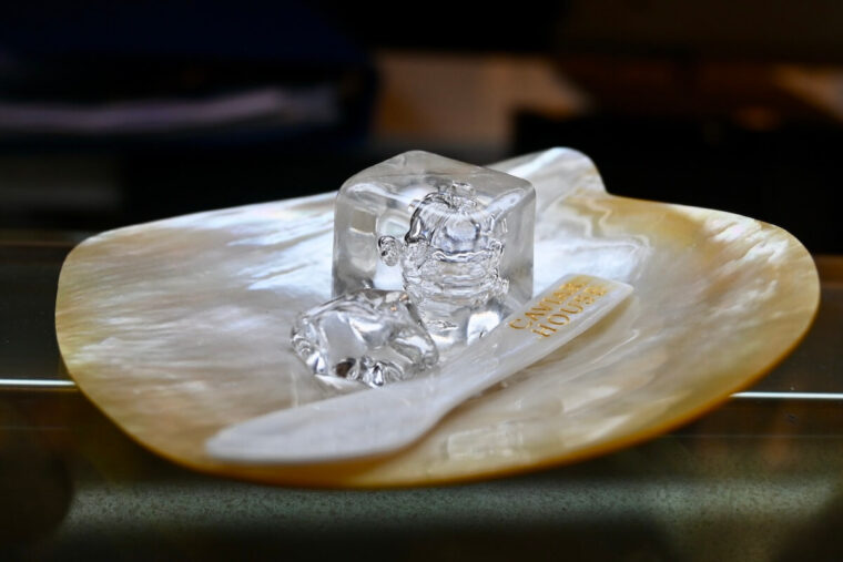 Caviar House spoon