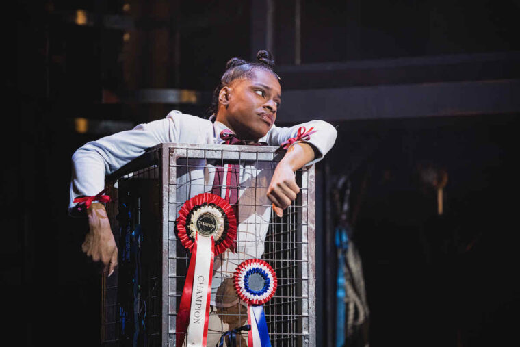 Shakeel Kimotho as Mollie the prize pony in Animal Farm at Stratford East. A black actor wearing riding shirt accessorised with ribbons and smartly coiled hair buns. She stands slumped inside a metal cage with her arms over the ledge. The cage is decorated with rosettes. Photo credit Kirsten McTernan