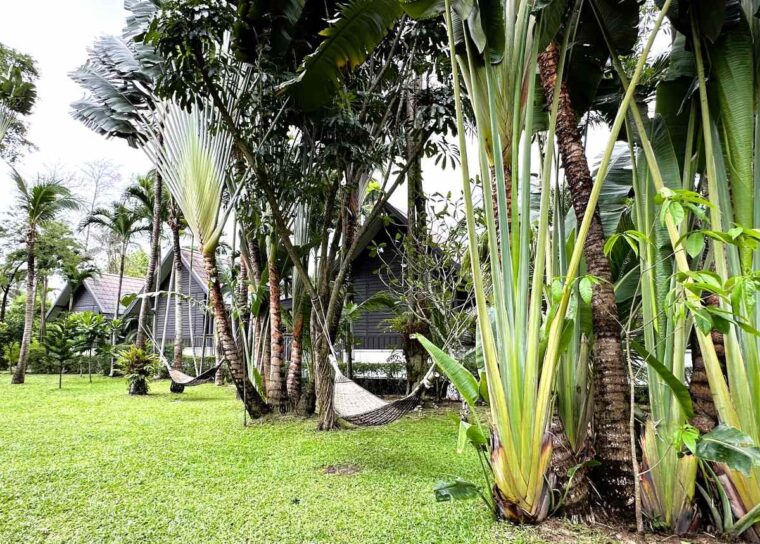 NH Collection Samui Peace rooms and villas are set in tropical gardens