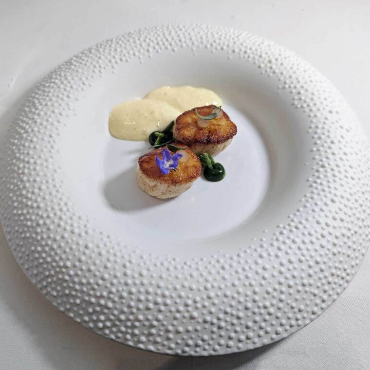 Petrus Scallop