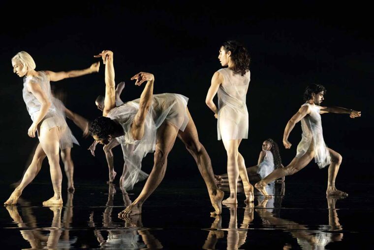 Deepstaria at Sadler's Wells