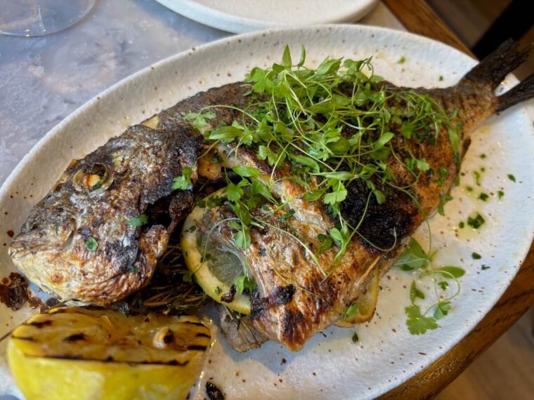 BELLAZUL SEABREAM