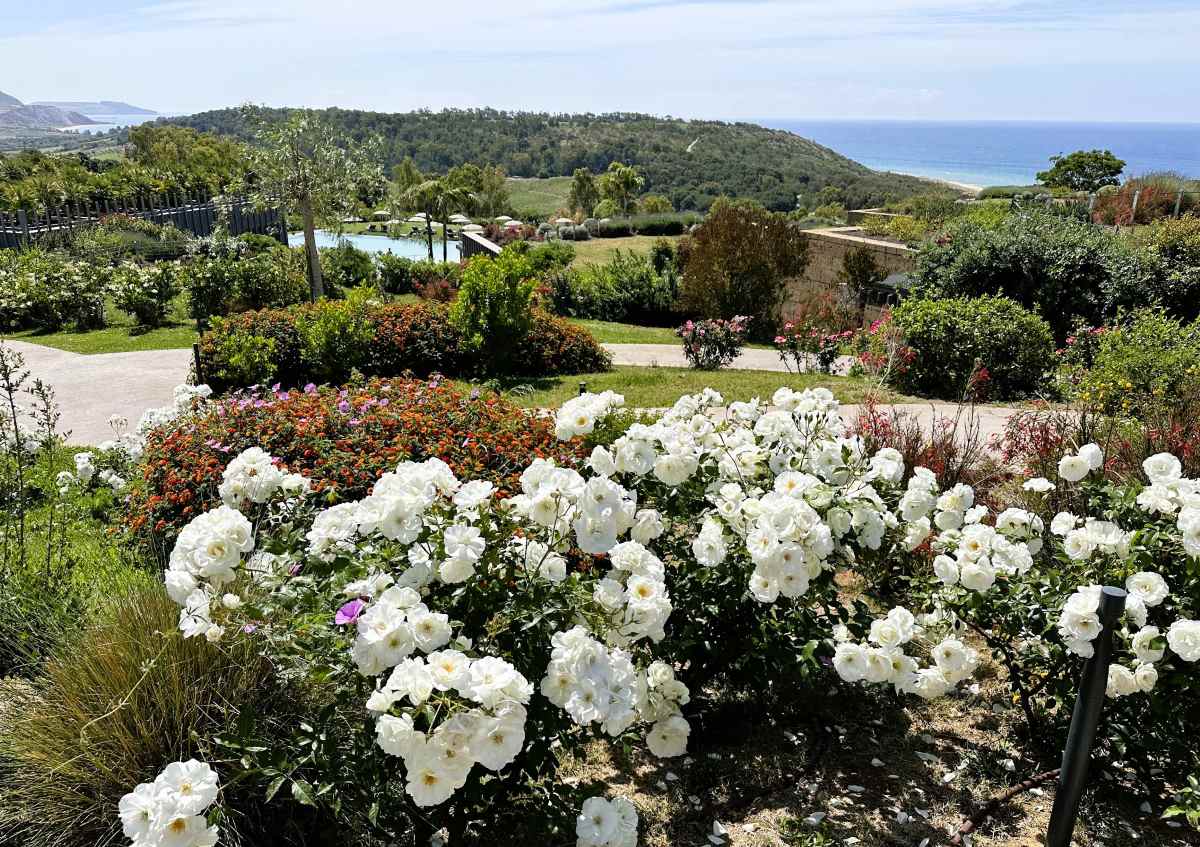 ADLER Spa resort Sicilia is extensively planted with gardens filled with indigenous plants