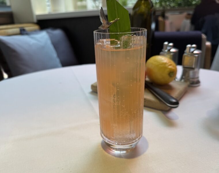 Zeste cocktail at La Terrasse byGrey Goose
