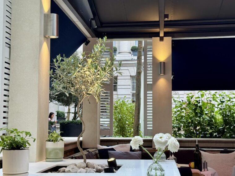 The restaurant at La Terrasse by Gry Goose with an olive tree