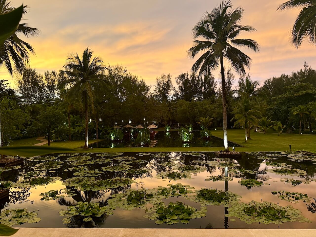 The Sarojin by night 