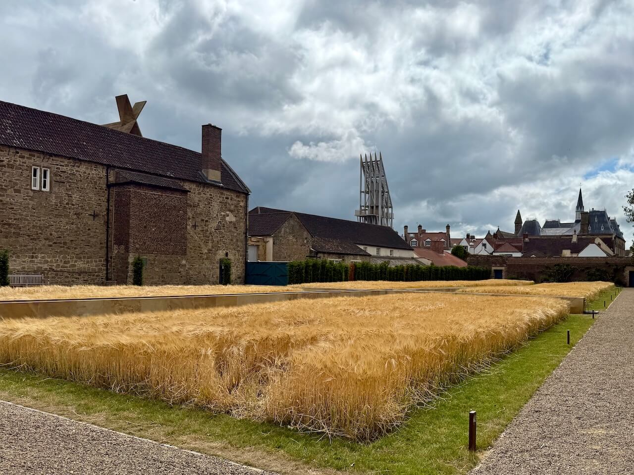 Auckland Castle barley