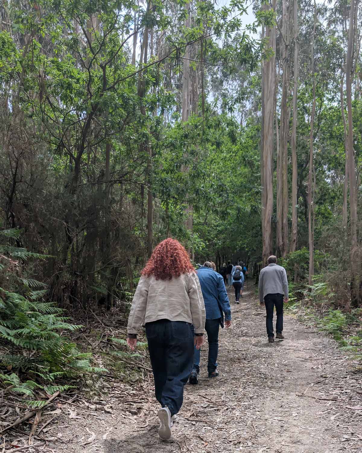 The Hike to Santiago de Compostella