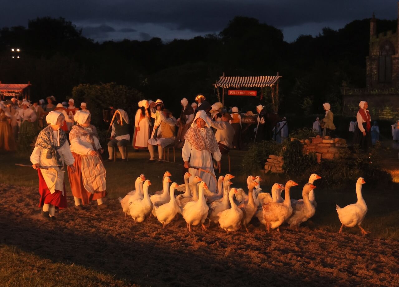 Kynren gaggle of geese