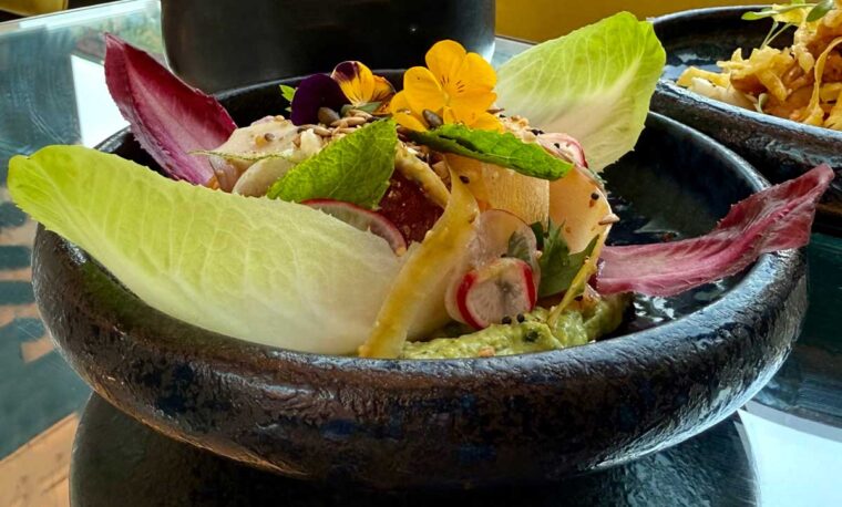 Shaved Vegetable Salad with Avocado Hummus - Brasserie of Light