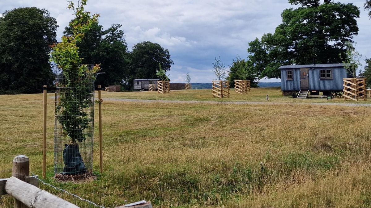 Two Shepherds huts stand in a field at Drovers Hill