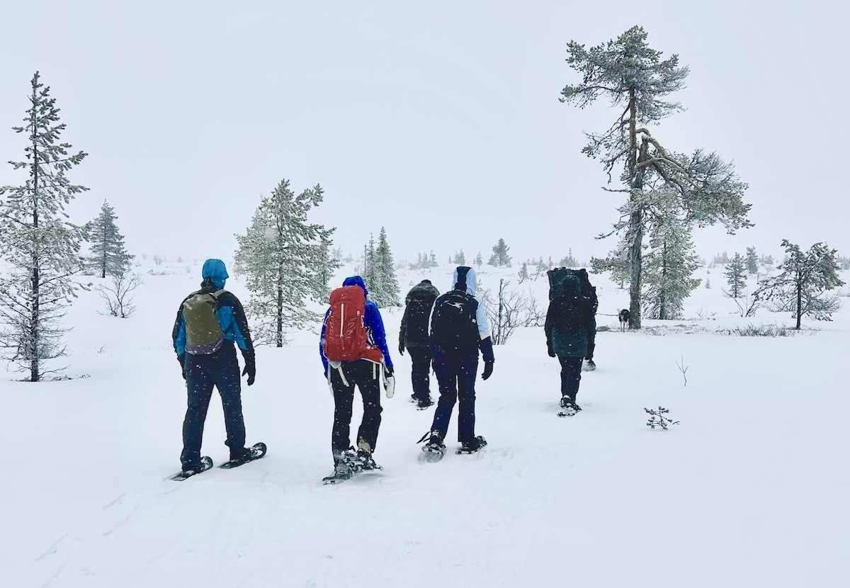 Snowshoe walking in Sälen