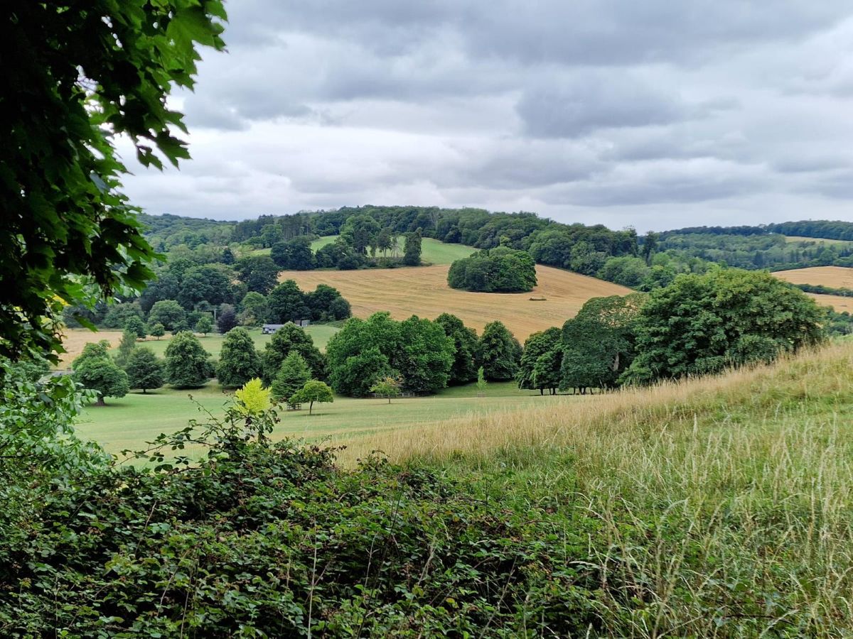 One hundred and eighty degree view of Stonor Park from the top of Drovers Hill